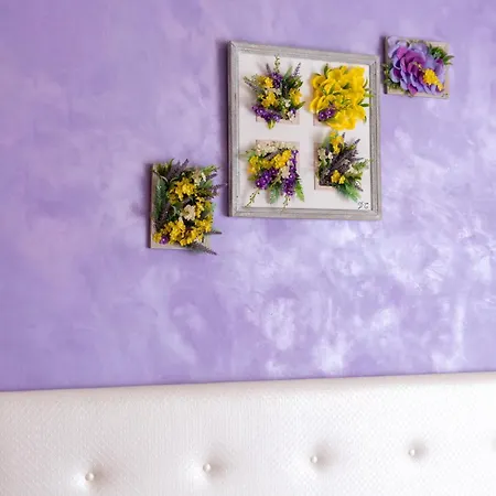 住宿加早餐酒店 Domus Premuda 罗马