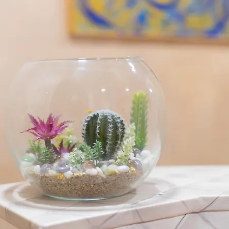 住宿加早餐酒店 Domus Premuda