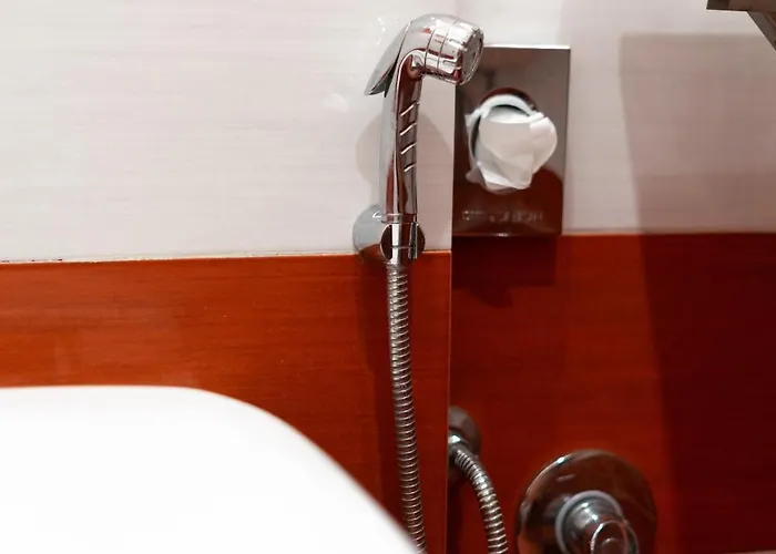 Nocleg ze śniadaniem Domus Premuda Rzym